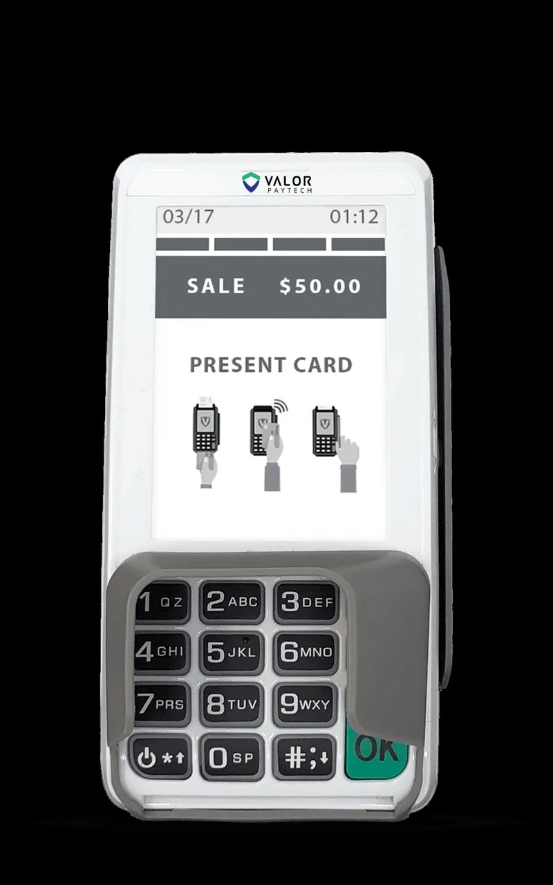 Valor Paytech VL300