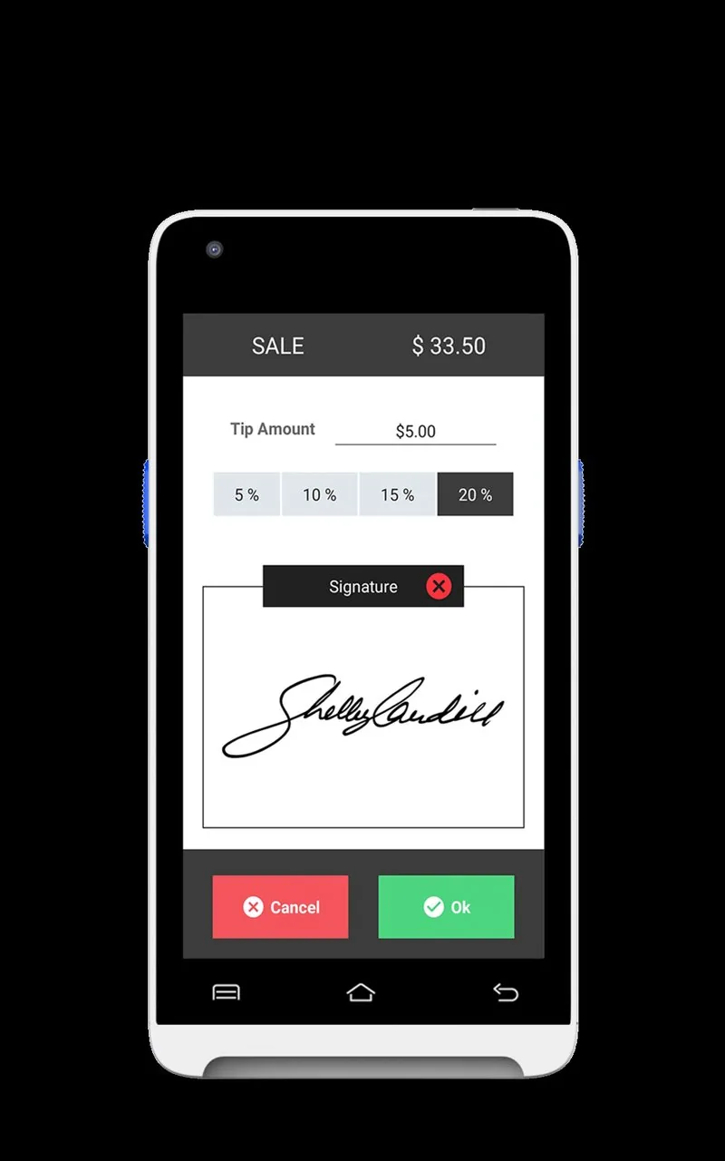 Valor Paytech VP350